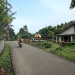 Untitled (1288 x 966 px) (9)