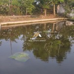 Untitled (719 x 1600 px) (10)