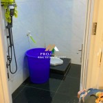 Untitled design (54)