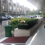 Untitled design (55)