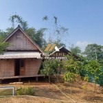 Untitled design (56)