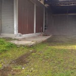 snapedit_1713860829600