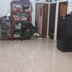 Untitled design - 2024-05-14T154112.510