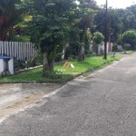 Untitled design - 2024-05-20T095322.625