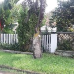 Untitled design - 2024-05-20T095424.700