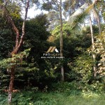 Untitled design - 2024-05-31T091743.582