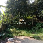 Untitled design - 2024-05-31T091816.226