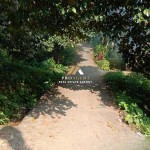 Untitled design - 2024-05-31T091847.986