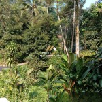 Untitled design - 2024-05-31T091923.631