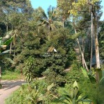 Untitled design - 2024-05-31T095352.858