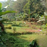 Untitled design - 2024-05-31T095452.598