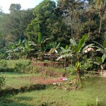 Untitled design - 2024-05-31T095535.481