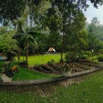 Untitled design - 2024-05-31T152717.661