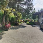 Untitled design - 2024-05-31T152736.333