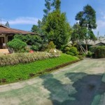 Untitled design - 2024-05-31T152751.892