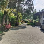 Untitled design - 2024-05-31T152806.164