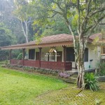 Untitled design - 2024-05-31T152839.377