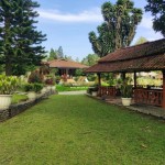 Untitled design - 2024-05-31T152858.266