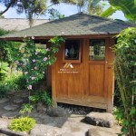 Untitled design - 2024-05-31T152948.321