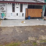 Untitled design (44)