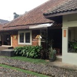 Untitled design (53)