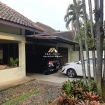 Untitled design (54)