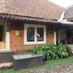 Untitled design (56)