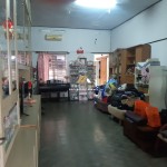 Untitled design (65)