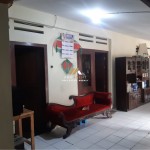 Untitled design (66)