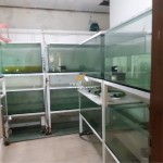 Untitled design (68)