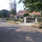 Untitled design (81)