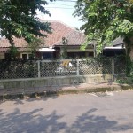 Untitled design (82)