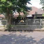 Untitled design (83)