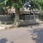 Untitled design (84)