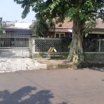 Untitled design (85)