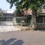 Untitled design (86)