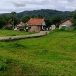 WhatsApp Image 2024-05-16 at 17.43.34