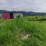 WhatsApp Image 2024-05-16 at 17.43.34 (2)