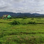 WhatsApp Image 2024-05-16 at 17.43.35