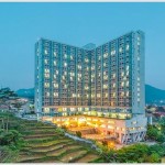 WhatsApp Image 2024-05-17 at 15.04.09 (1)