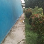 Untitled design (44)