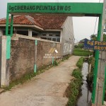 Untitled design (44)