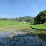 Untitled design (44)