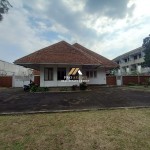 Untitled design (45)