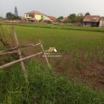 Untitled design (45)