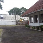 Untitled design (46)