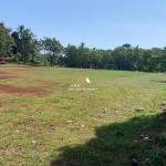 Untitled design (46)