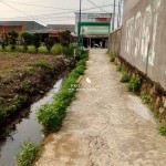 Untitled design (46)