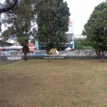 Untitled design (47)