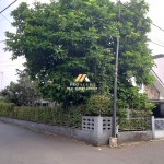 Untitled design (47)